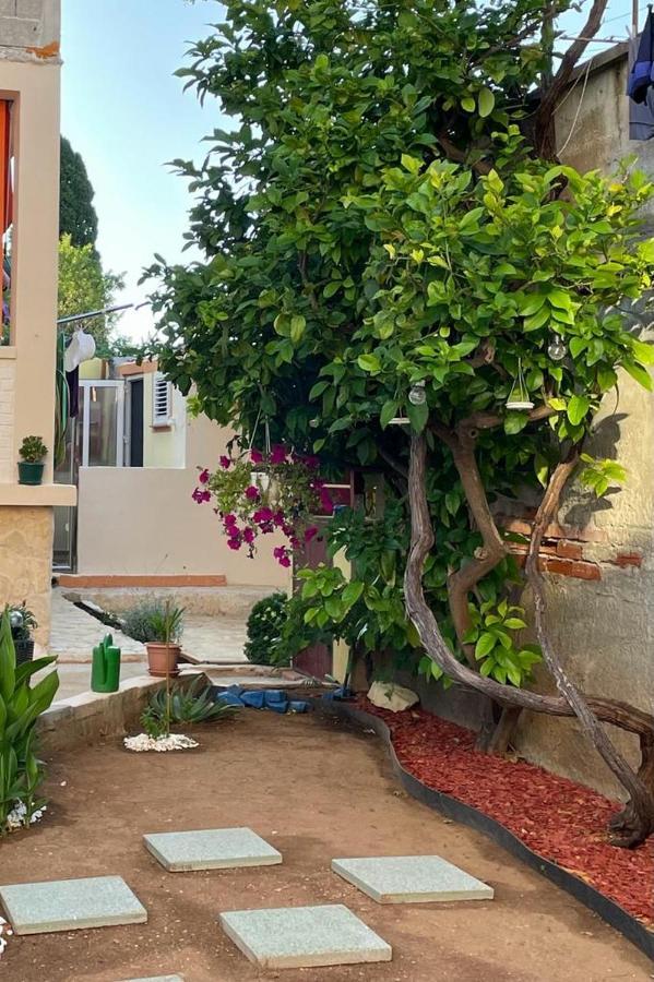 Lumar Holidays And Apartments Preko Esterno foto